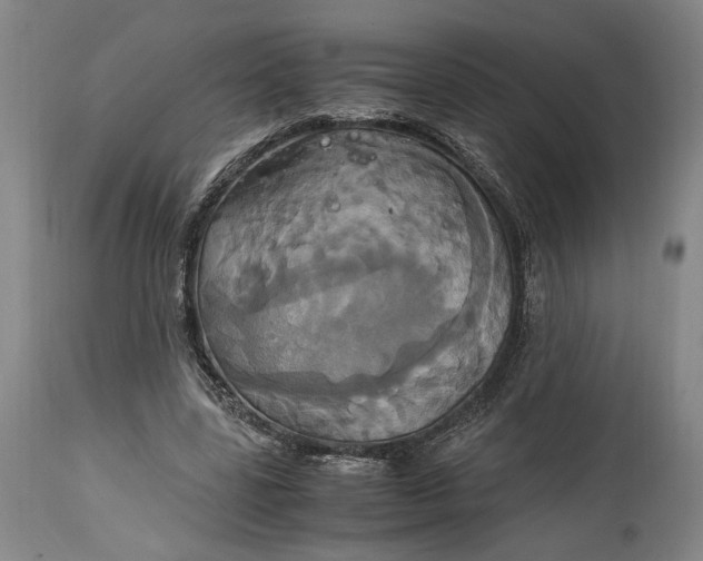 X0000114700539200911121542