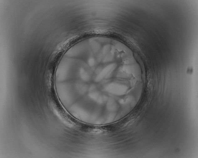 X0000114700542200911121542