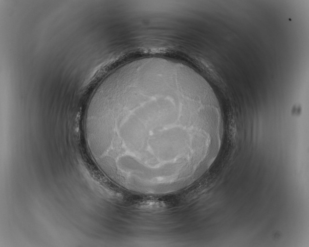 X0000114700543200911121542