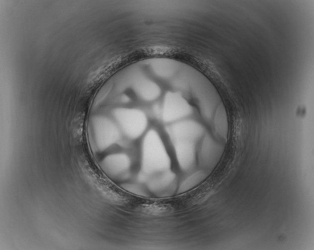 X0000114700545200911121542