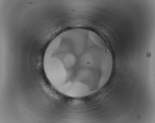 X0000114700546200911121542