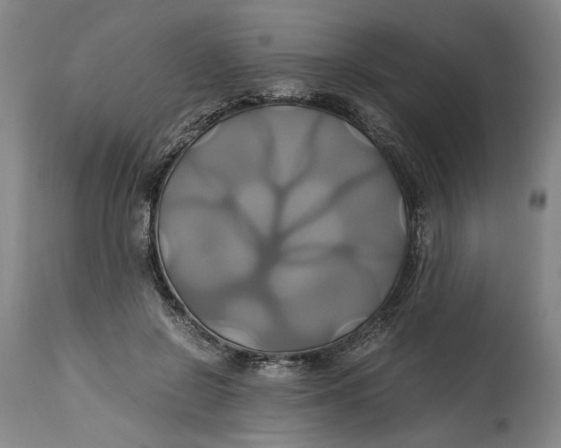 X0000114700550200911121542