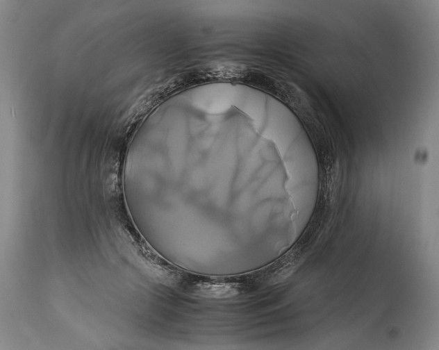 X0000114700553200911121542