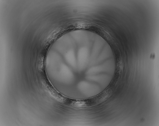 X0000114700554200911121542