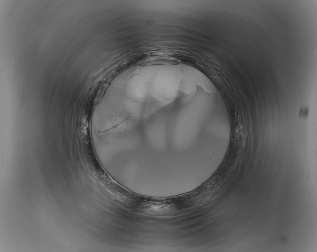 X0000114700555200911121542