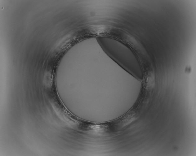 X0000114700558200911121542