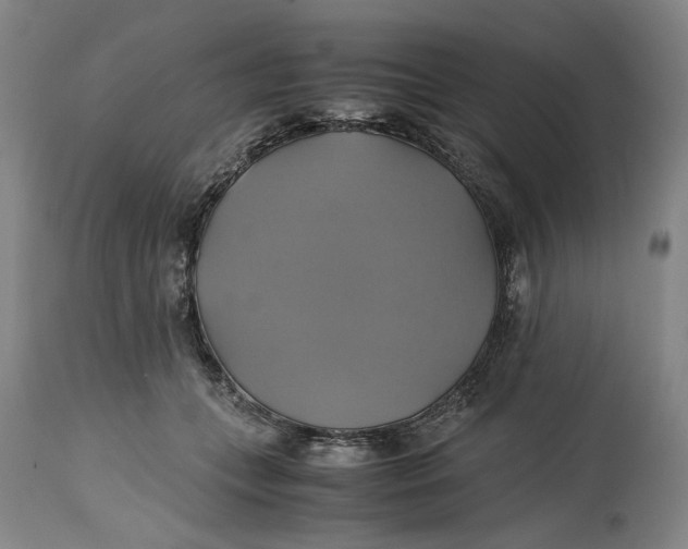 X0000114700559200911121542