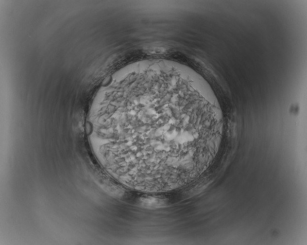 X0000114700561200911121542