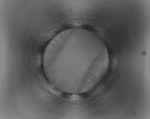 X0000114700562200911121542