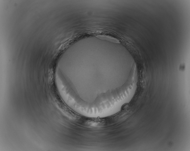 X0000114700563200911121542