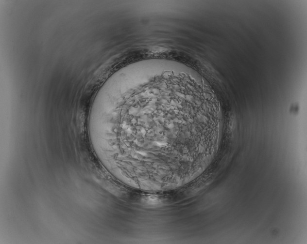 X0000114700565200911121542