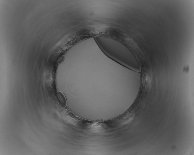 X0000114700566200911121543