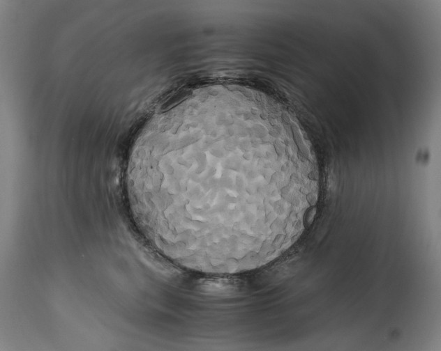 X0000114700567200911121543