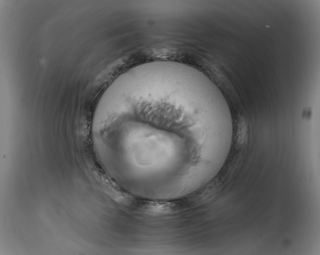 X0000114700569200911121543