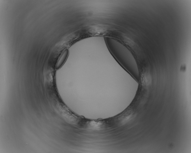 X0000114700570200911121543