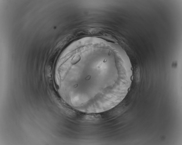 X0000114700571200911121543