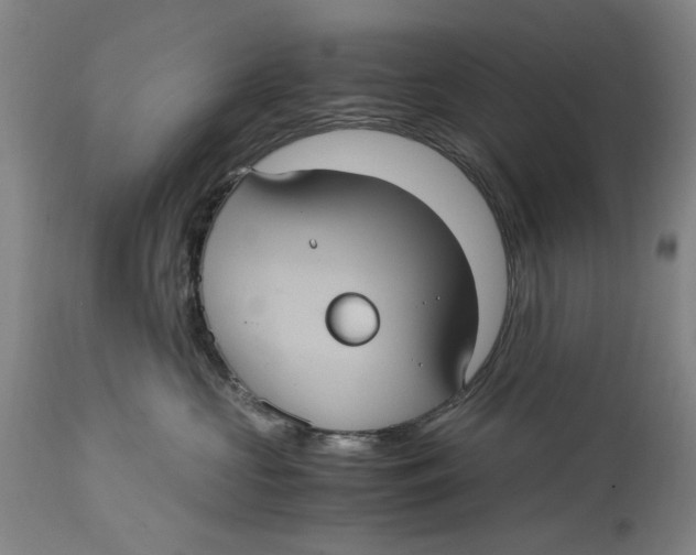 X0000114700573200911121543