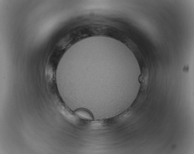 X0000114700574200911121543