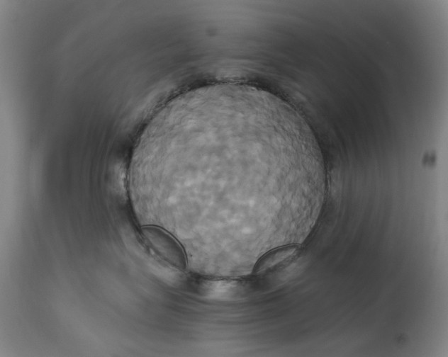 X0000114700575200911121543