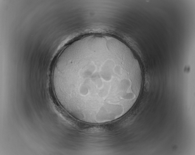 X0000114700578200911121542