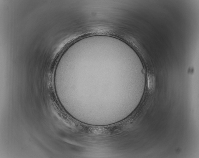 X0000114700579200911121542