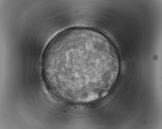 X0000114700580200911121542