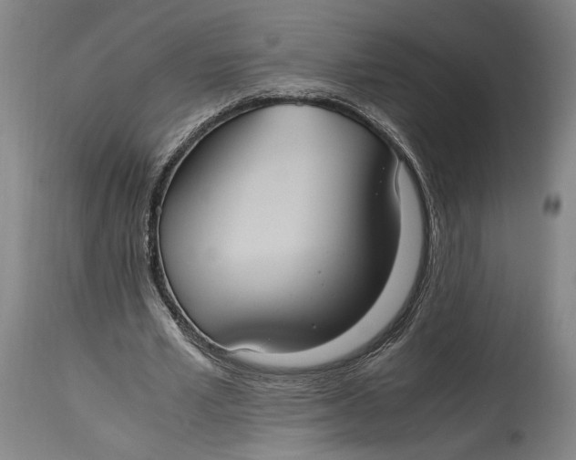 X0000114700581200911121542