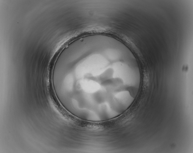 X0000114700582200911121542