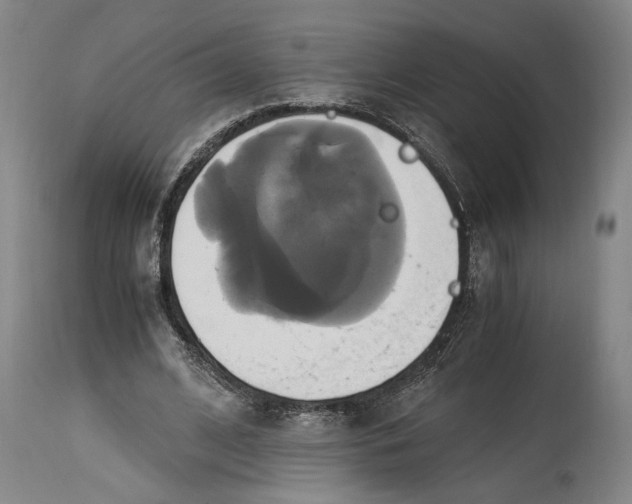 X0000114700584200911121542