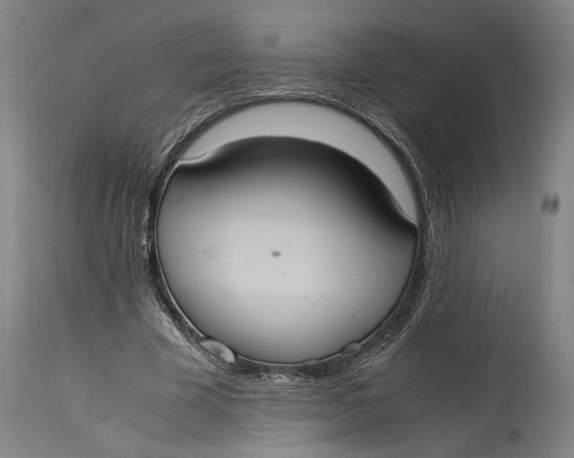 X0000114700585200911121542