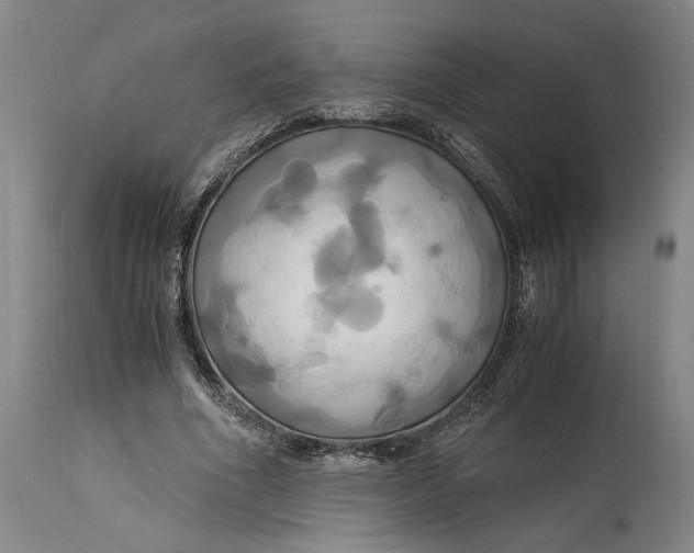 X0000114700586200911121542