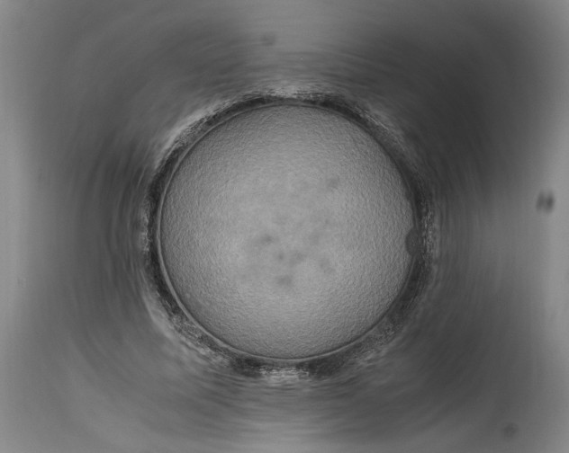 X0000114700587200911121542