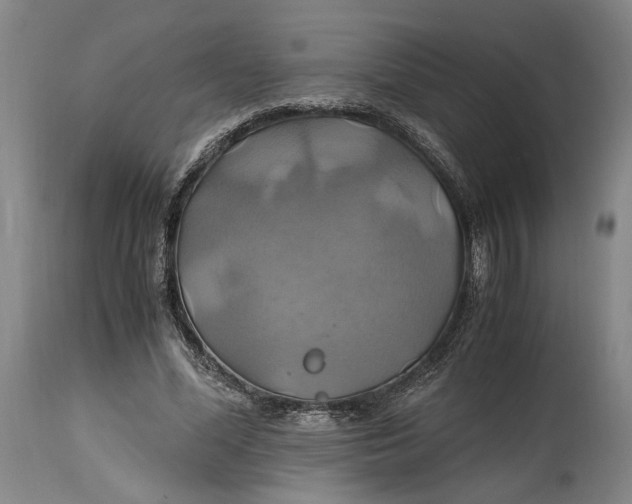 X0000114700588200911121542