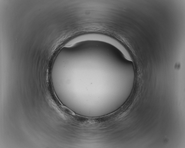 X0000114700589200911121542