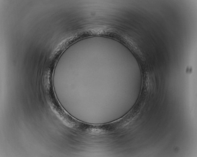 X0000114700590200911121542