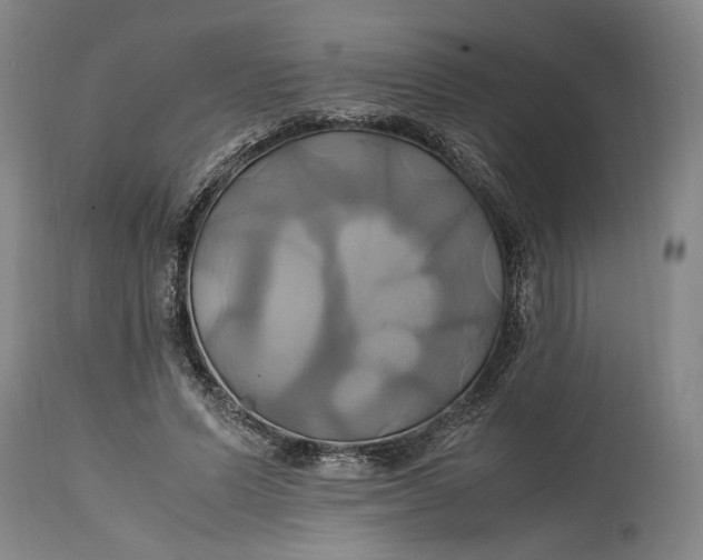 X0000114700591200911121542