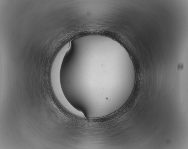 X0000114700593200911121542