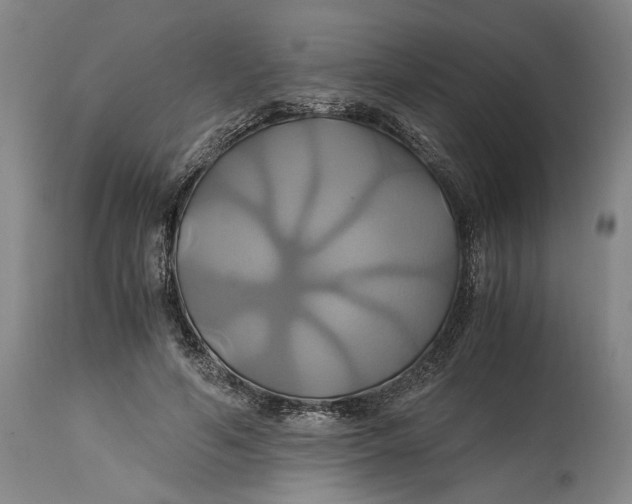 X0000114700594200911121542