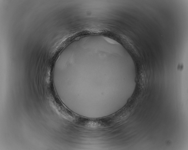 X0000114700596200911121542