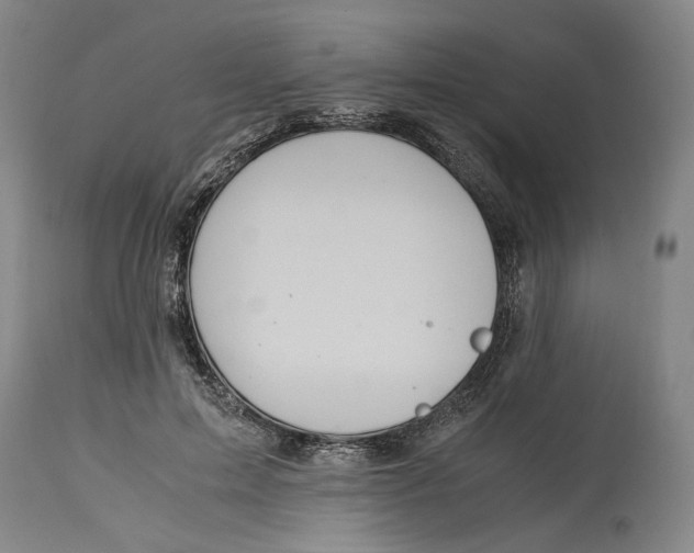 X0000114700599200911121542