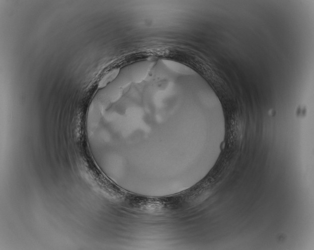 X0000114700600200911121542