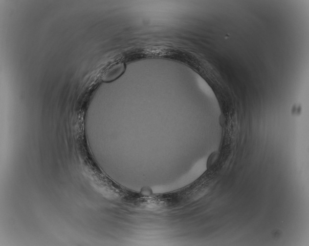 X0000114700601200911121542