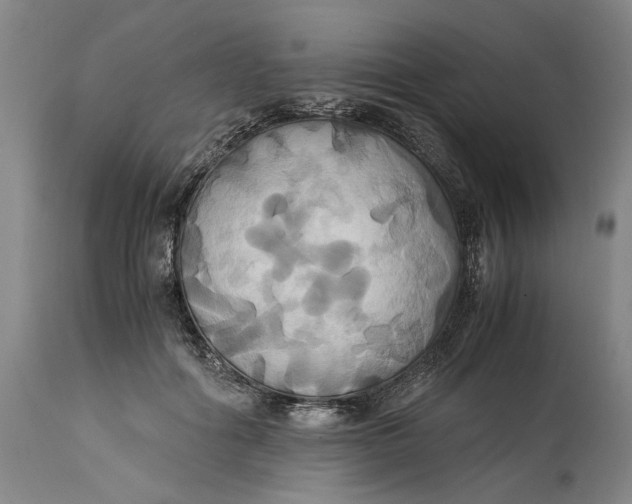 X0000114700602200911121542