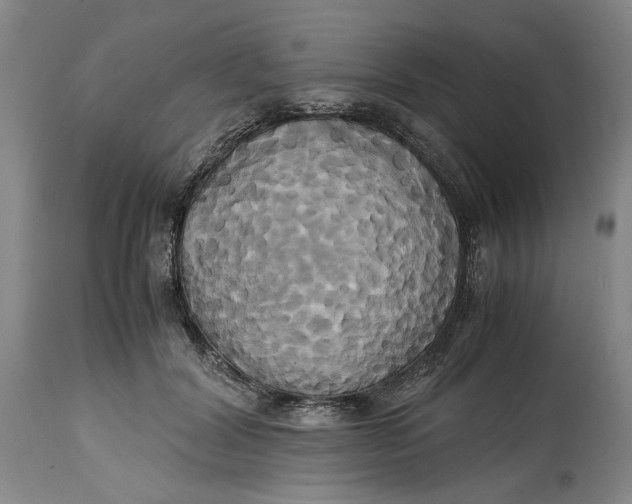 X0000114700604200911121542