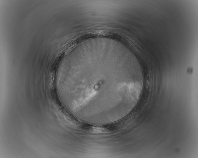 X0000114700605200911121542