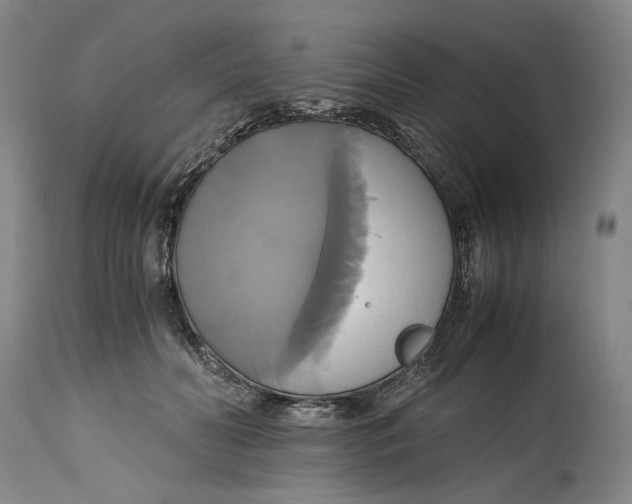 X0000114700606200911121542