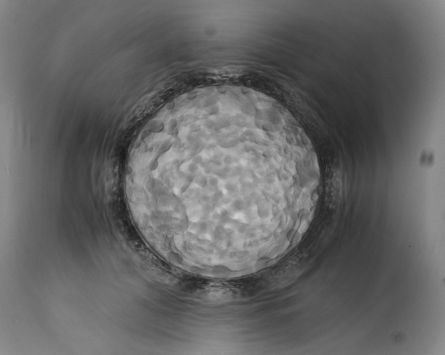 X0000114700608200911121542