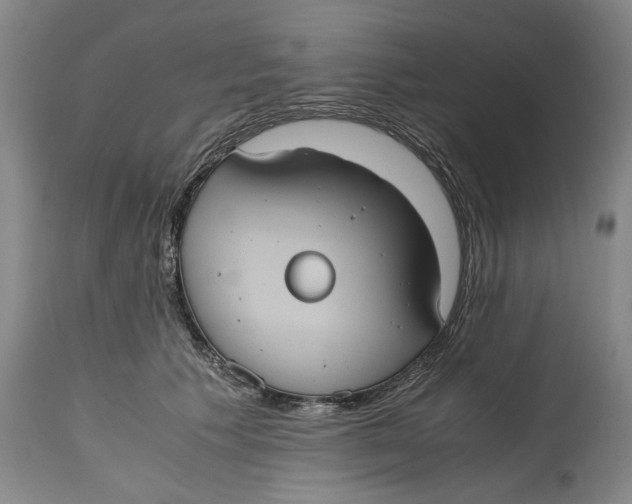 X0000114700609200911121542