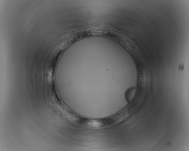 X0000114700610200911121542