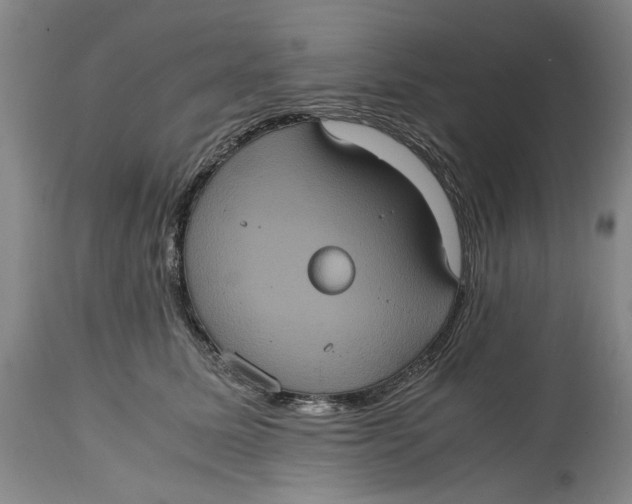 X0000114700611200911121542